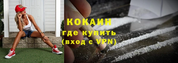 прущие грибы Верхний Тагил