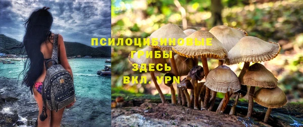 спиды Волосово