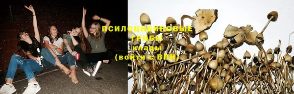 скорость Володарск